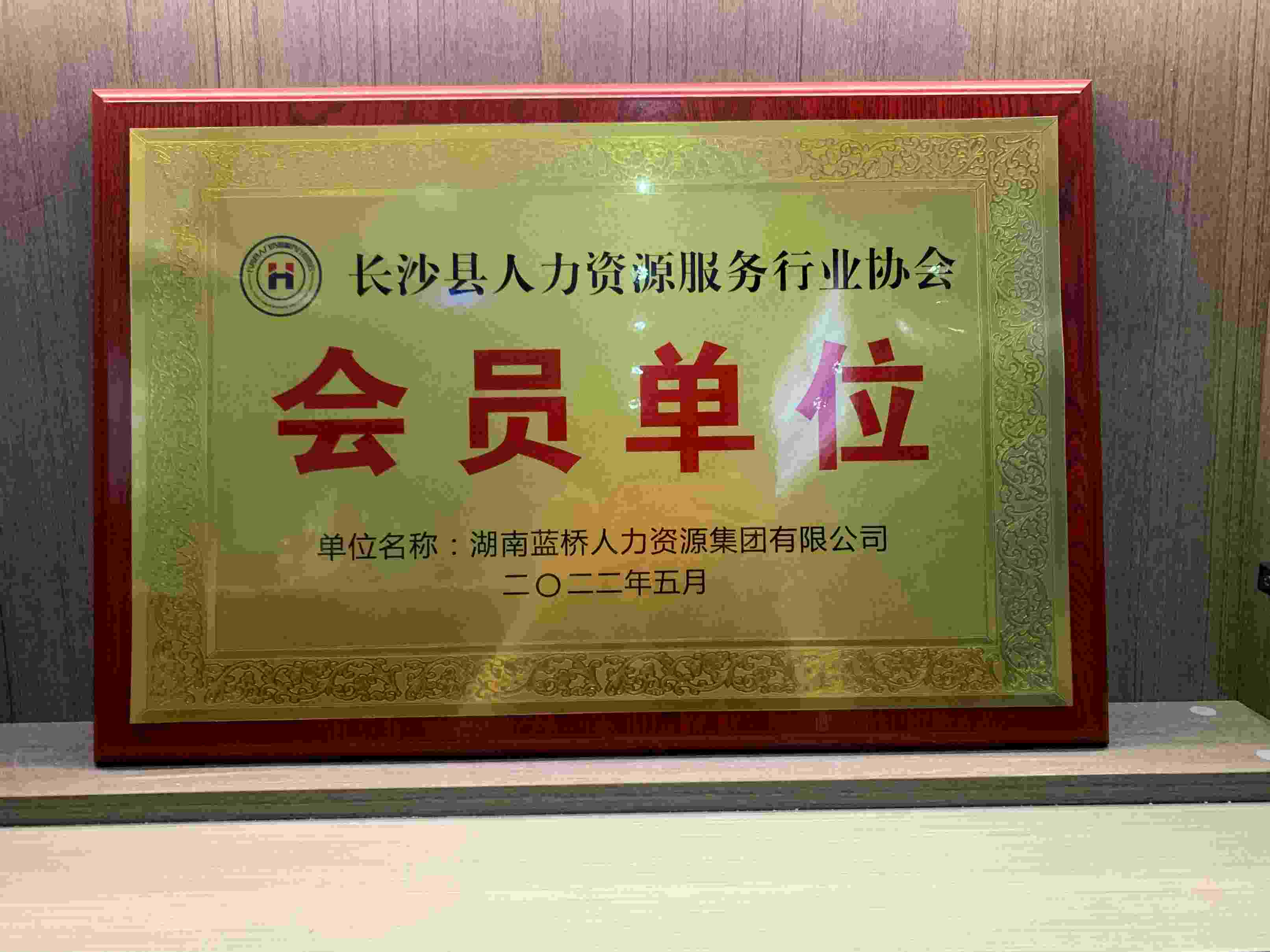 邵阳县人力资源服务行业协会副会长单位